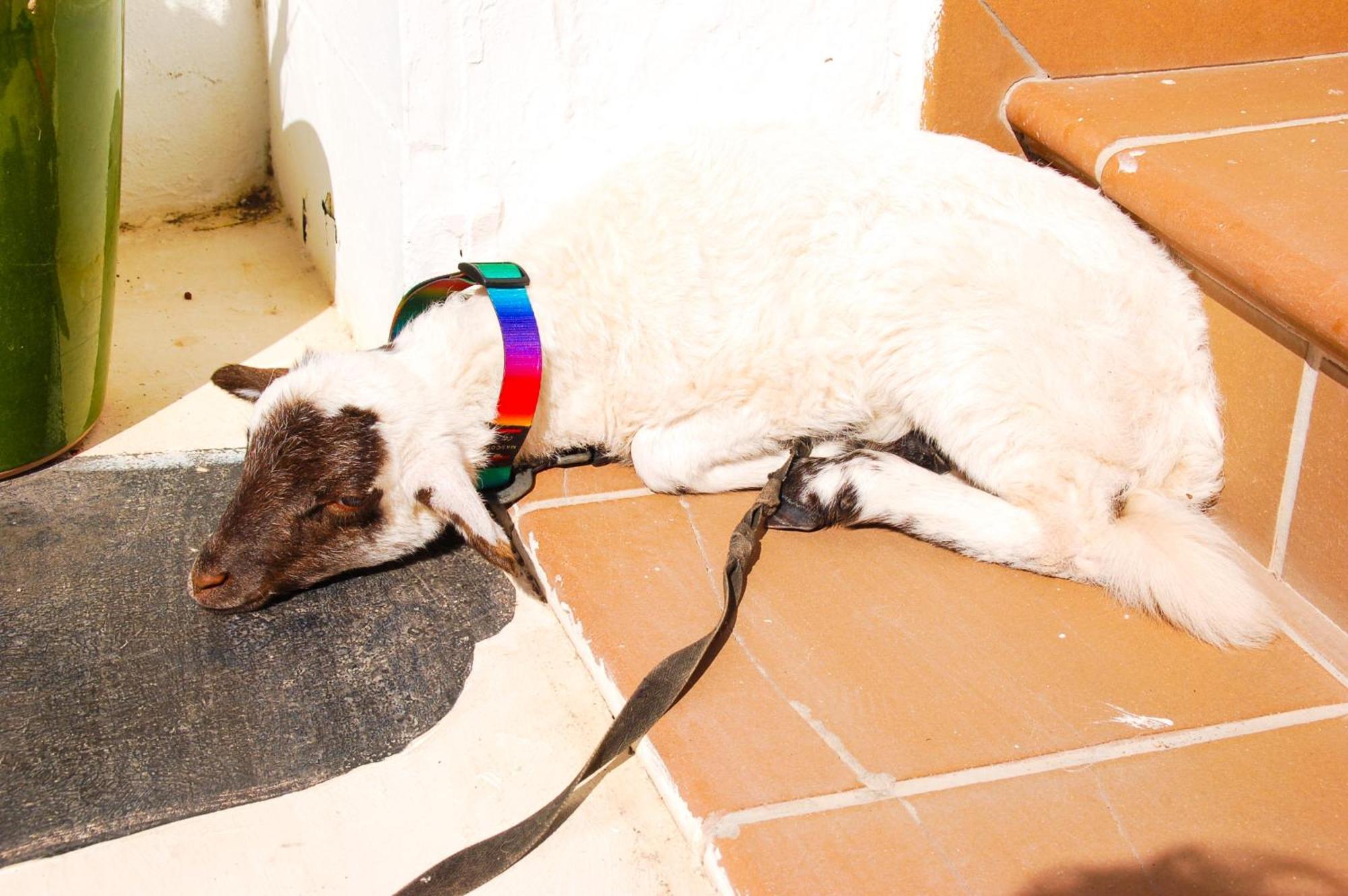 Casa Rural Ga7Colores Only Adult Montana Blanca Εξωτερικό φωτογραφία
