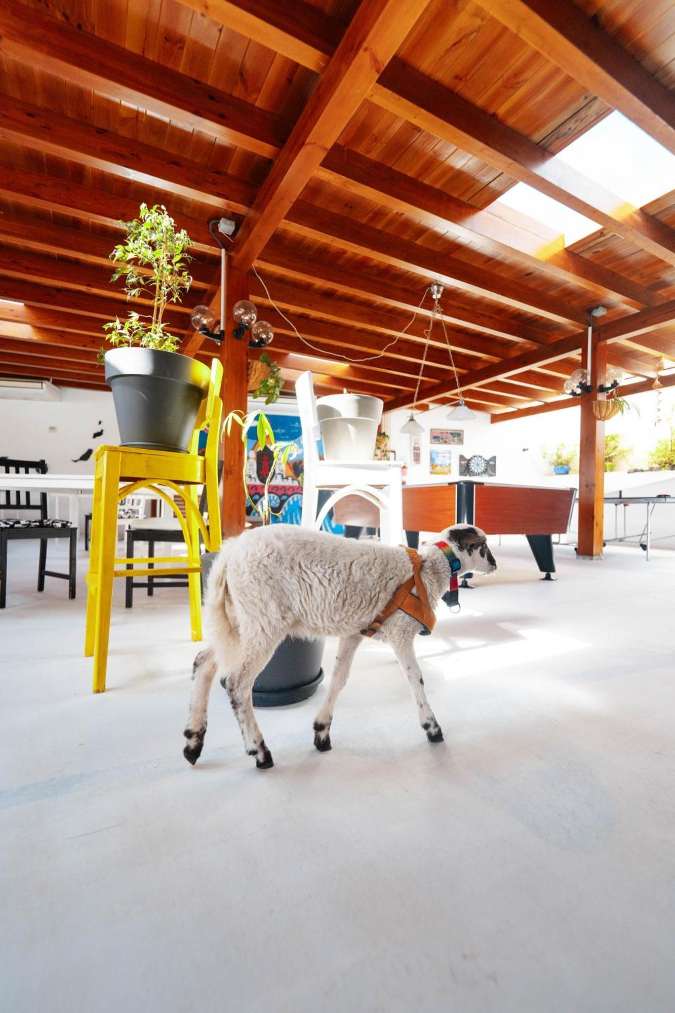 Casa Rural Ga7Colores Only Adult Montana Blanca Εξωτερικό φωτογραφία